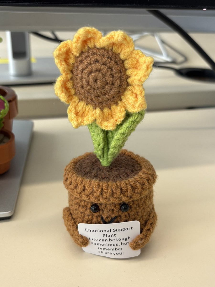 ItsSadForYa's tweet photo. Been emotionally attached to my emotional support plant 🌱 https://t.co/HqUw8QJTV5