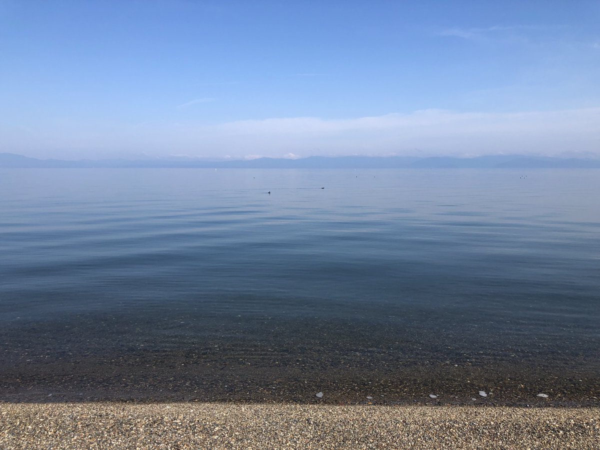 96kantera's tweet photo. 平日休みの朝散歩がいちばん気持ちいい https://t.co/YPtMnYBYcR