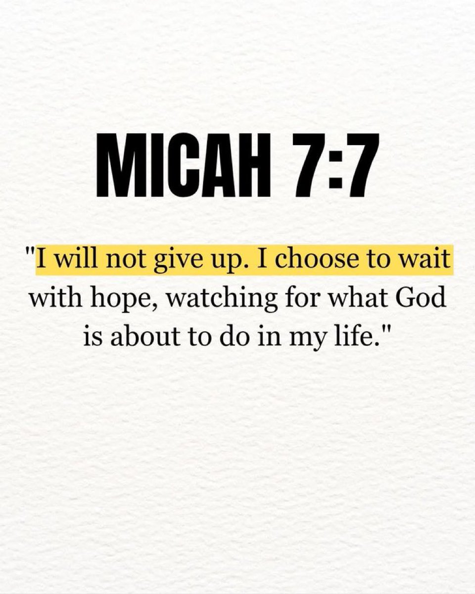 Bible 365 tweet media
