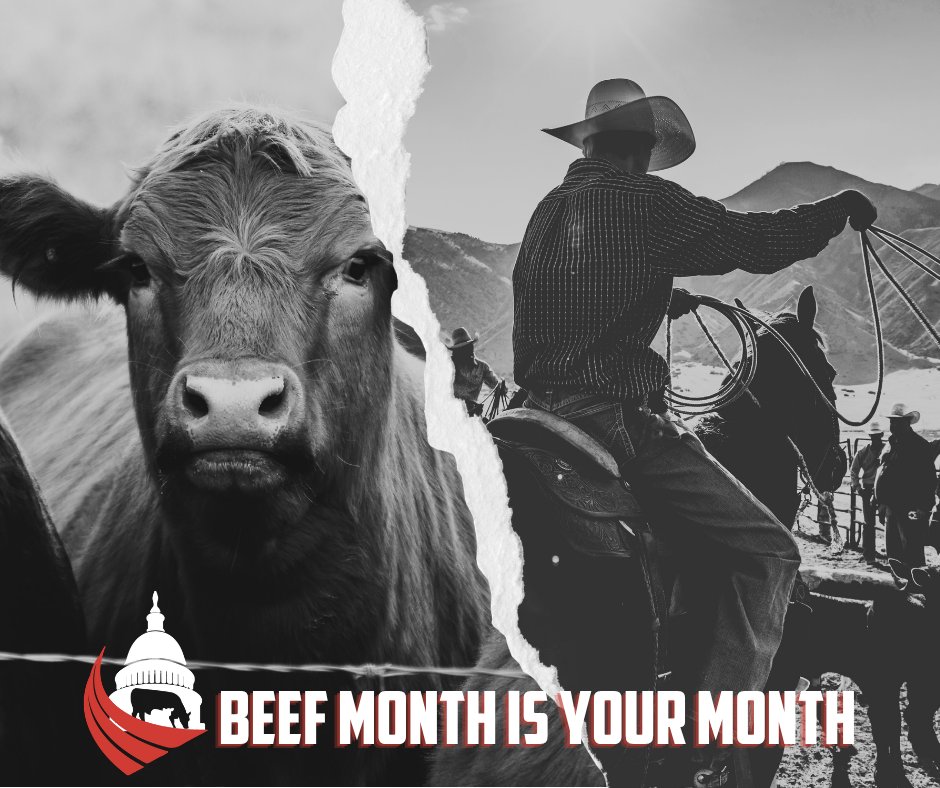 uscattlemen's tweet photo. May is officially Beef Month – but for U.S. cattle producers, every month is beef month.

Put a grassroots voice behind your herd and join USCA today. https://t.co/2140xiYk70
