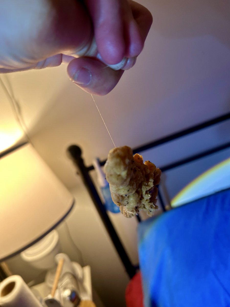 tspohn's tweet photo. @CaptainDs went through the drive through yesterday about 7pm EST ordered some food. I have always loved y’all’s chicken tenders. Got home and started eating my chicken tenders and found a hair fried into my chicken. I was able to hold the entire tender up by the sting of hair. https://t.co/GrvsB4Orr9