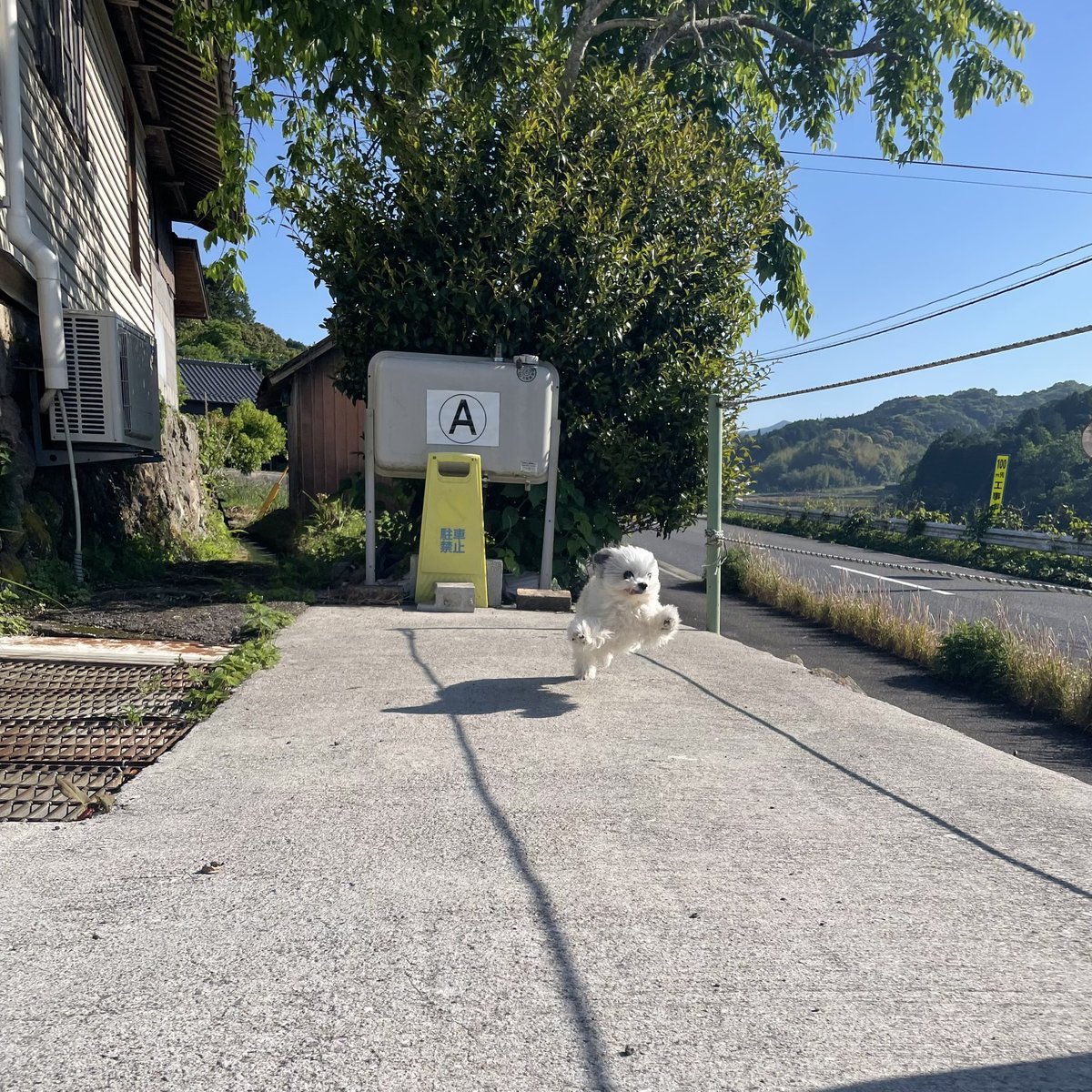 まめのもんや/ MURAKAMI ROASTERY tweet media