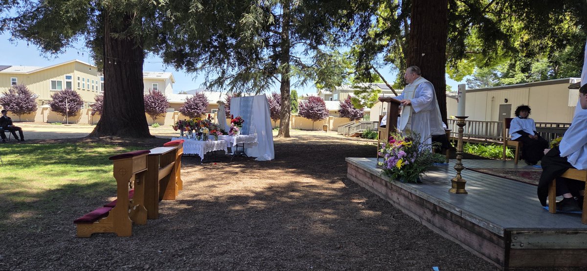 St. Maximilian Catholic School tweet media