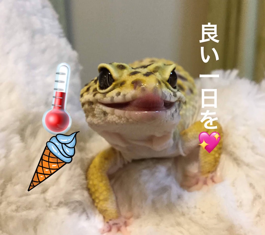 toskalt8513's tweet photo. おはようございます😀
今日も元気に宜しくお願いします🍀
5月14日は？ドイツの物理学者ガブリエル ファーレンハイトの誕生日 #温度計の日 🌡 で #ごいしの日  ⚪️⚫️
あと #けん玉の日 
快適なお部屋でけん玉しながら囲碁しましょうか😁
https://t.co/vKHuMCzQu1 https://t.co/8LFiPGDdfb
