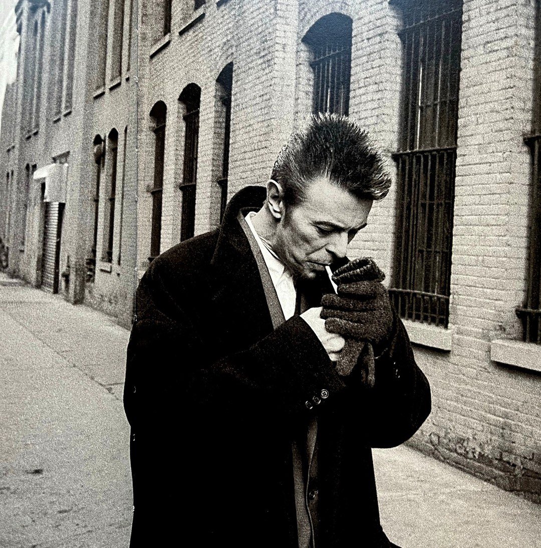 bowie archive tweet media