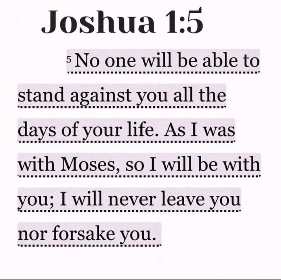 Bible 365 tweet media