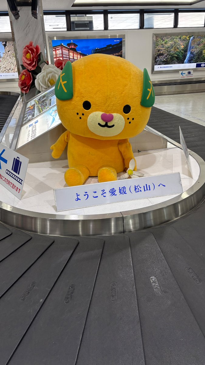 poko/手帳×建築 tweet media