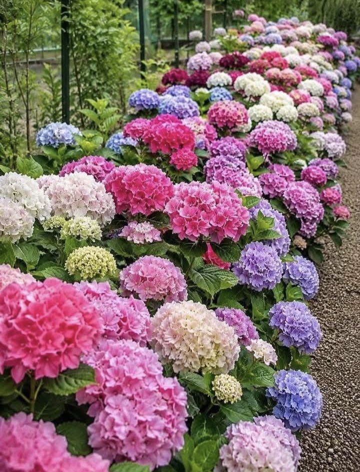 mari53718266's tweet photo. 🩷🩵💜🤍❤️ https://t.co/699OWOAJQ7