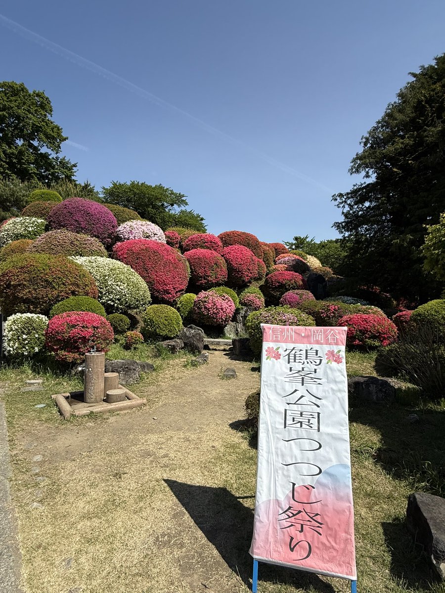 中村ひろやす tweet media