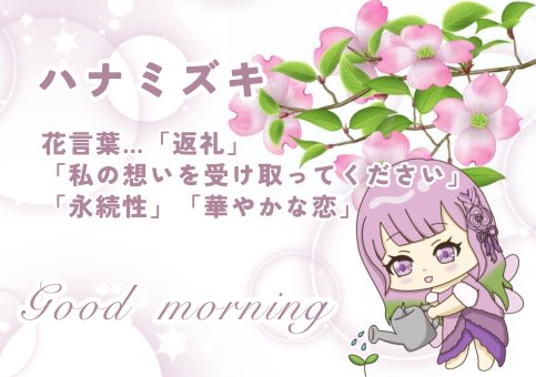 りら ストっく💐🧚♀️✨ tweet media