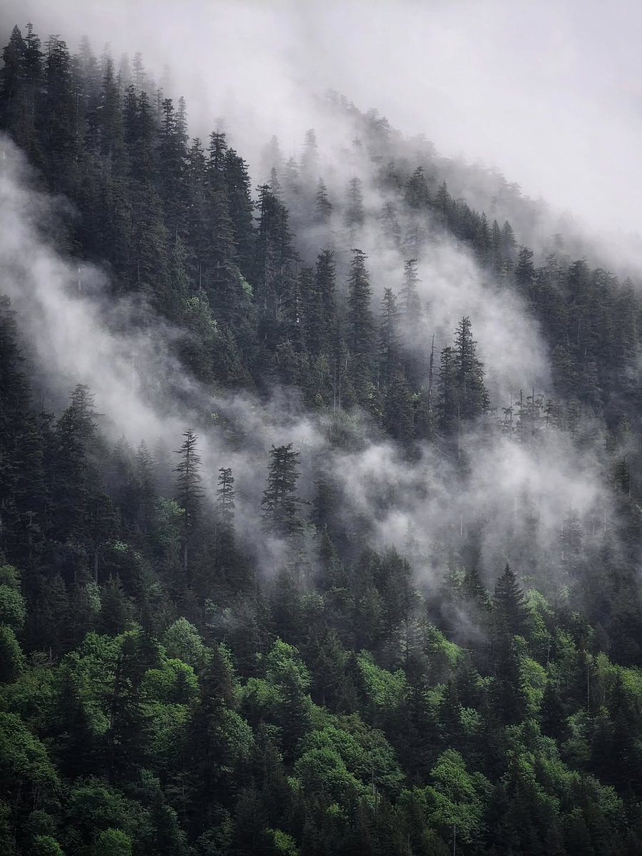 Nature🍃 tweet media