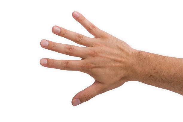 ricortese's tweet photo. @AndrewFournet @im_Blessed6063 @akafaceUS What I am referring would probably be better described as protruding more. You can actually change it with a small amount of flexing/stretching. https://t.co/riEpxKOc25