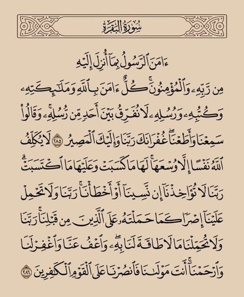 د.غــيــمه 🌼 tweet media