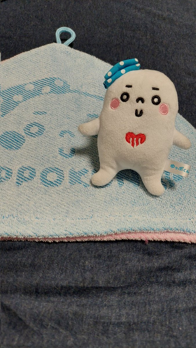 ゆーすけ tweet media