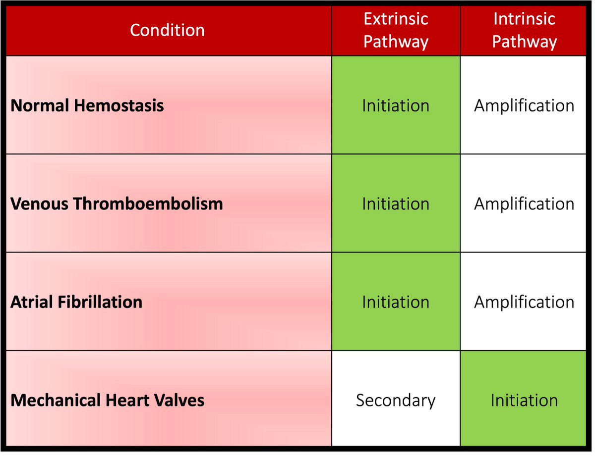 tony_breu's tweet photo. 4/ 
The mystery becomes how thrombosis formation in mechanical valves differs from that of atrial fibrillation or venous thromboembolism (VTE).  

💡Because, as it turns out, the mechanism of thrombosis is NOT exactly the same in all situations.  

https://t.co/7fP0XUyCFM