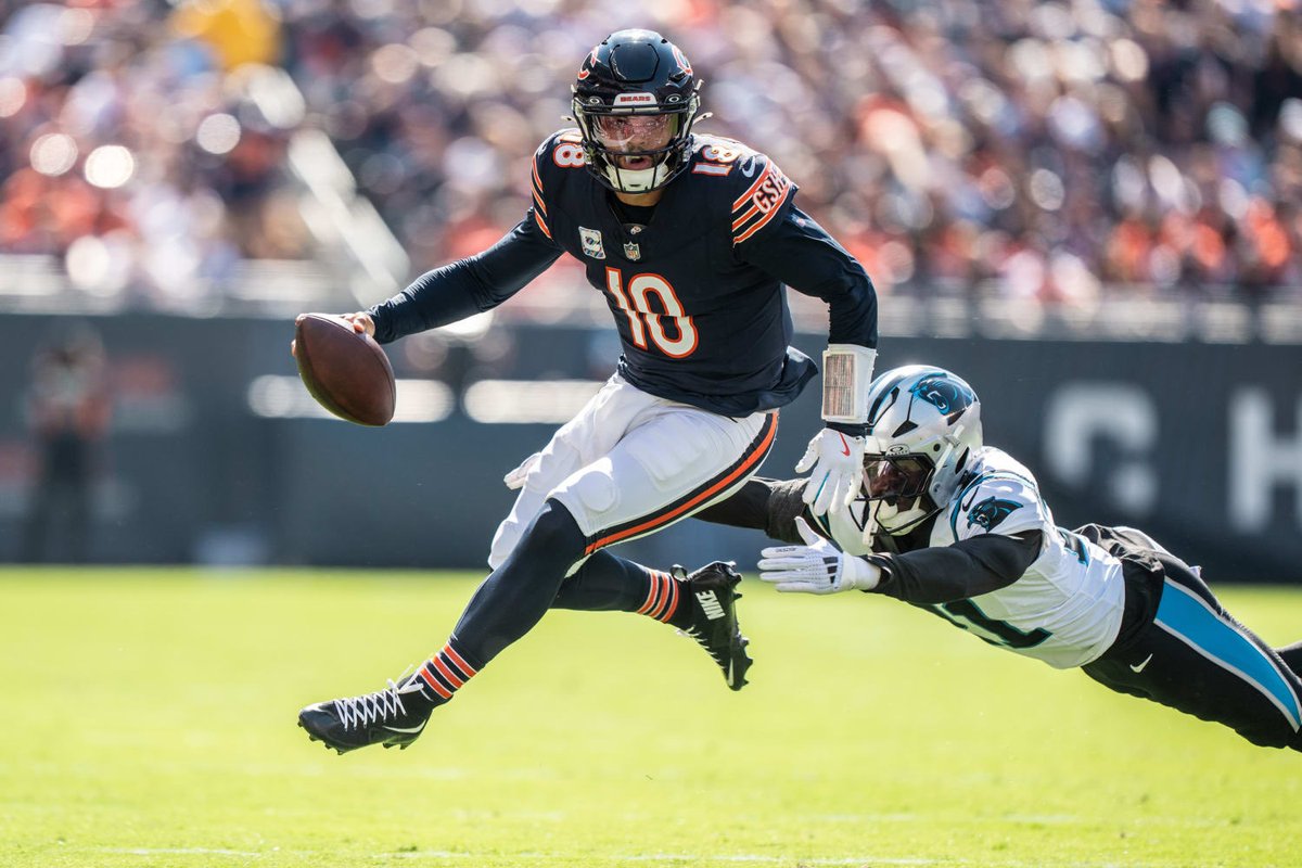 Bears Nation tweet media