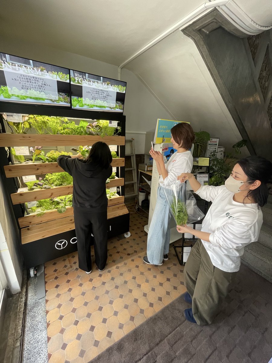 omami_eiyoshi's tweet photo. #FGNFARM 第1期生を卒業しました👩‍🎓

収穫はeatasメンバー全員で🌱

採れたてのお野菜をその日のランチで
サラダにしていただきました〜✨

こんなにおいしいお野菜が天神で採れることに驚き！！
第2期生以降も募集中とのことですので、
おいしい野菜が食べたい方は必見です✨👀

#OYASAI #eatas https://t.co/wsBNVQcSQv