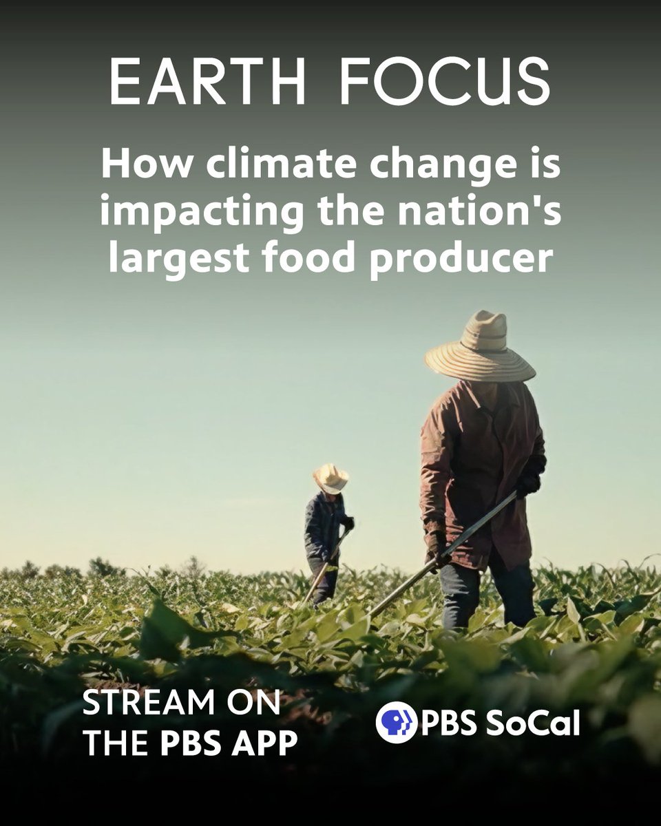 UCLA Center for Health Policy Research tweet media