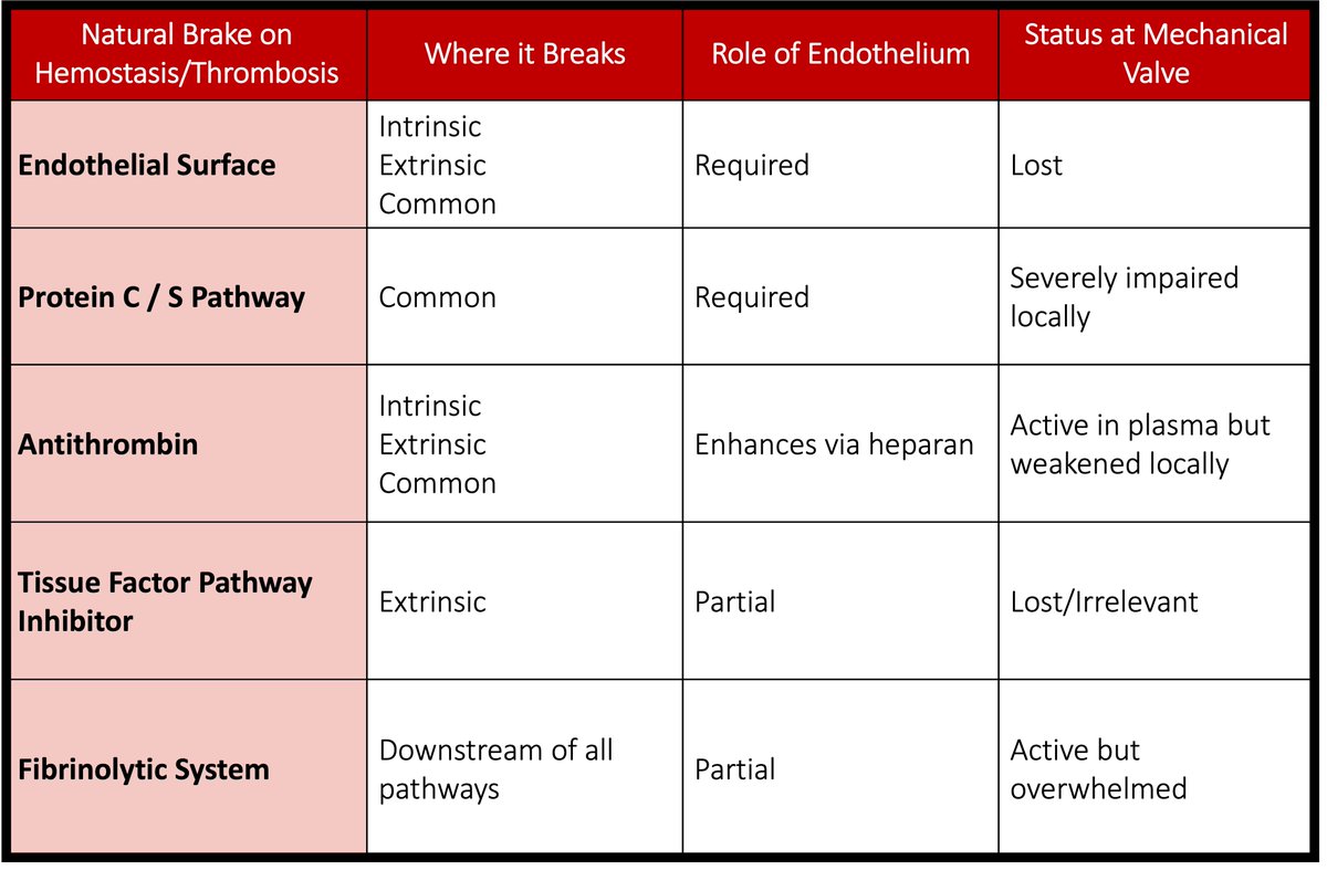 tony_breu's tweet photo. 12/ 
In addition to generating massive amounts of thrombin, the foreign surface of a mechanical valve means it does not induce the same endogenous anticoagulant mechanisms.

Many of these require an endothelial surface.

❌TFPI 
❌Endothelial antithrombotic surface 
⬇︎Antithrombin 
⬇︎Protein C/S