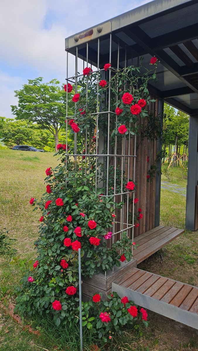 skyliner119's tweet photo. @7eomji 깔끔한 하루 보내세요~^^ https://t.co/JOywxjwgE8
