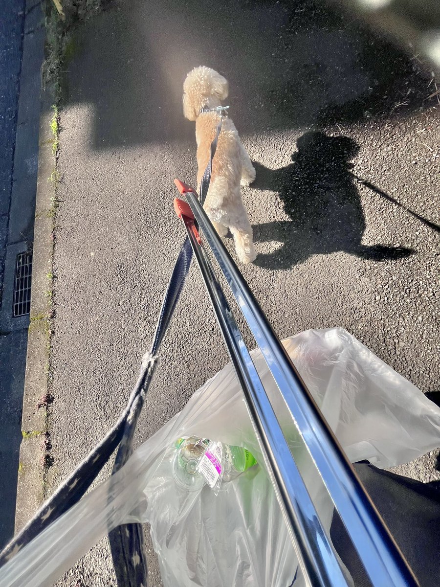 2p4Qg3ZI3jQGQNU's tweet photo. てくてく歩いていたら、小さな紫陽花を見つけたよ🐶
梅雨の季節も近づいてきたね☔️

ライス隊長とお散歩ピカピカ隊
1000回チャレンジ【944回目🌸】
#防災を日常に
#ゴミ拾い
#それ実は防災なんです
#川口市 https://t.co/3oZfNVh7r9