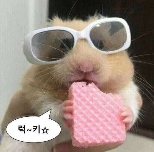 반딱 ㅌㅊㅅ tweet media