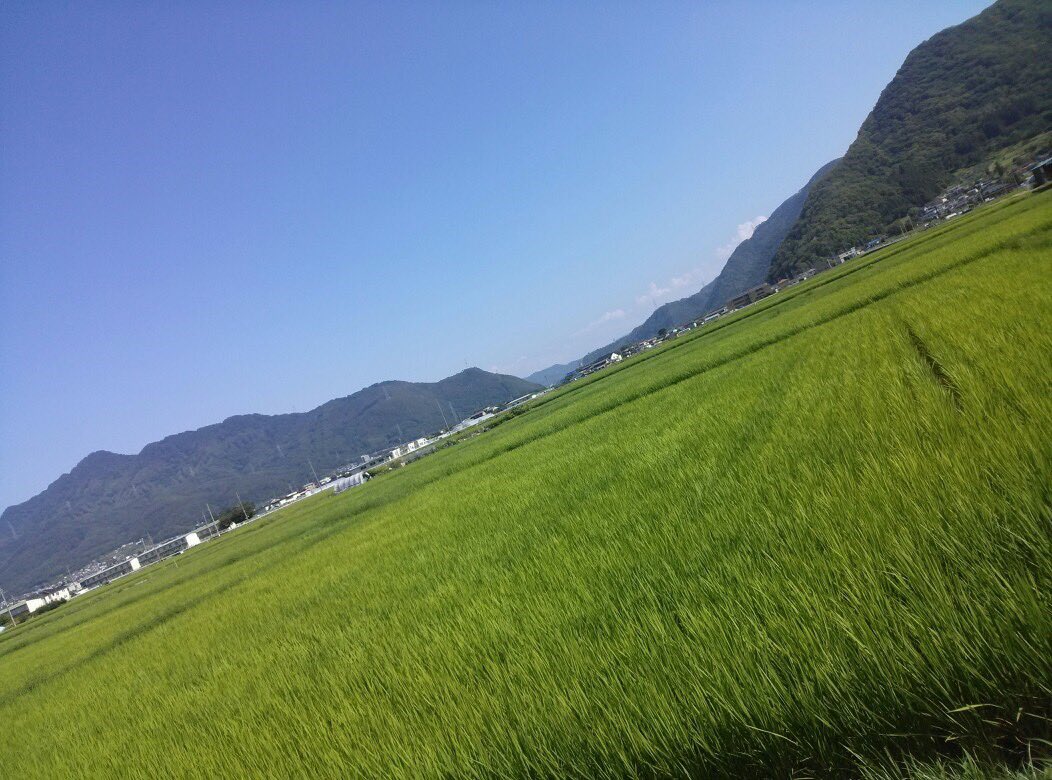 ﾐﾅﾐﾁｬﾝ tweet media