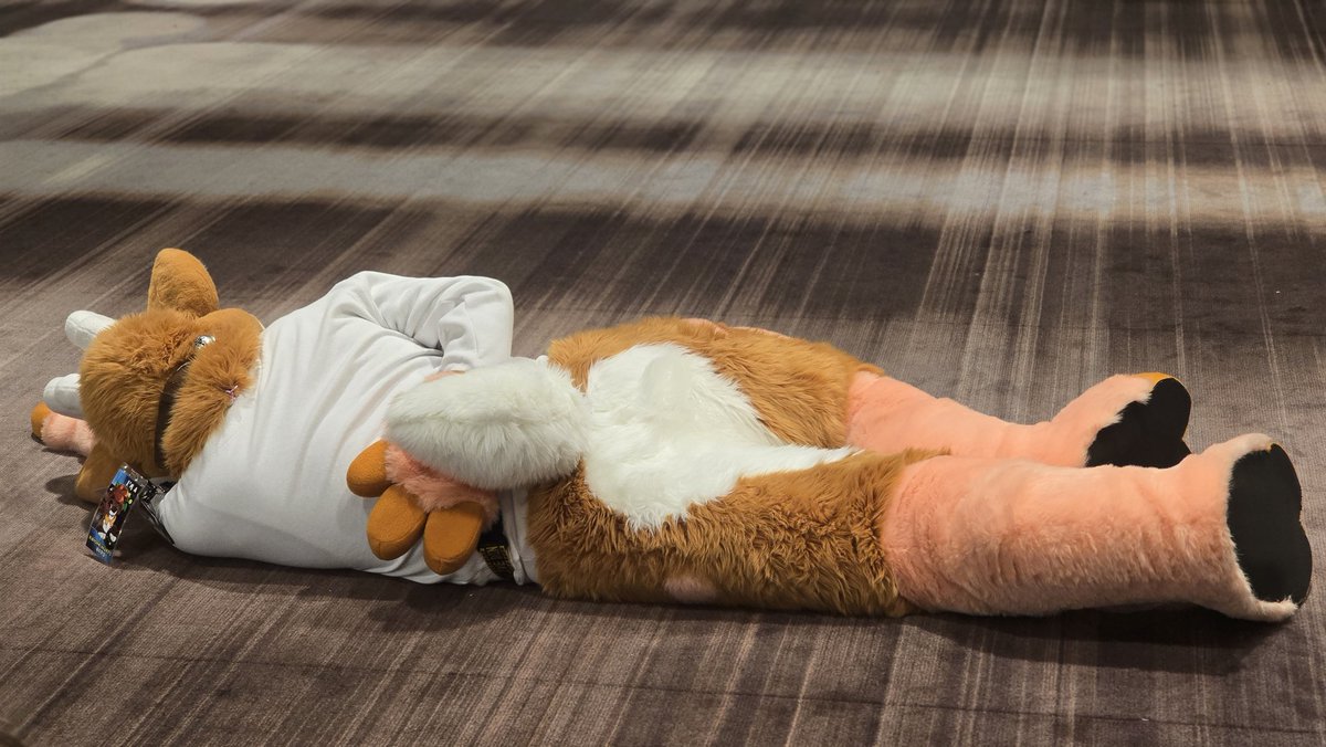 Bagel_deer's tweet photo. Oh for Pete's sake, someone help him up🙄...

📸: @smooththeroo https://t.co/m6WobVRGZB