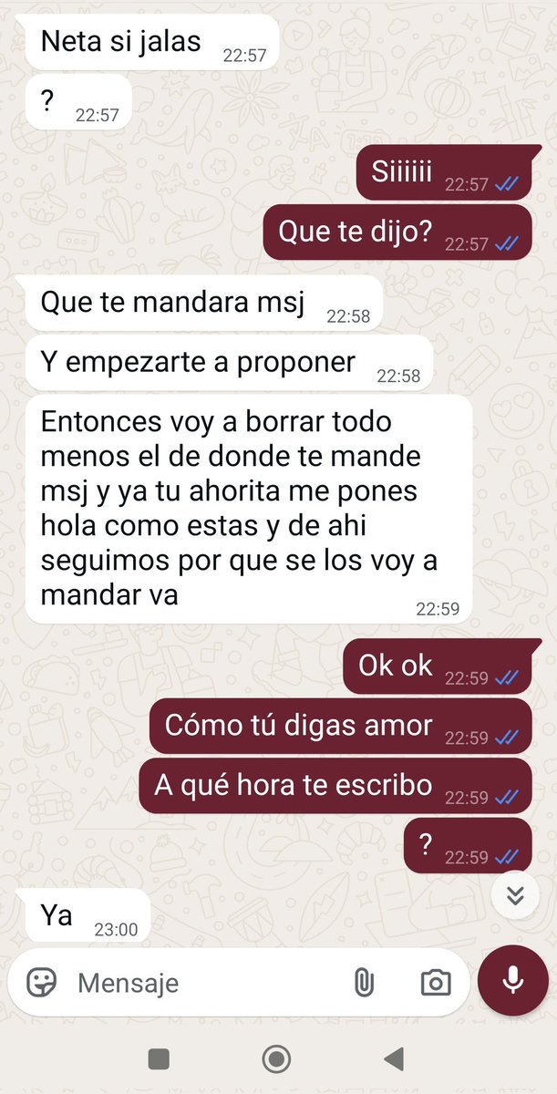 bullydeleon tweet media