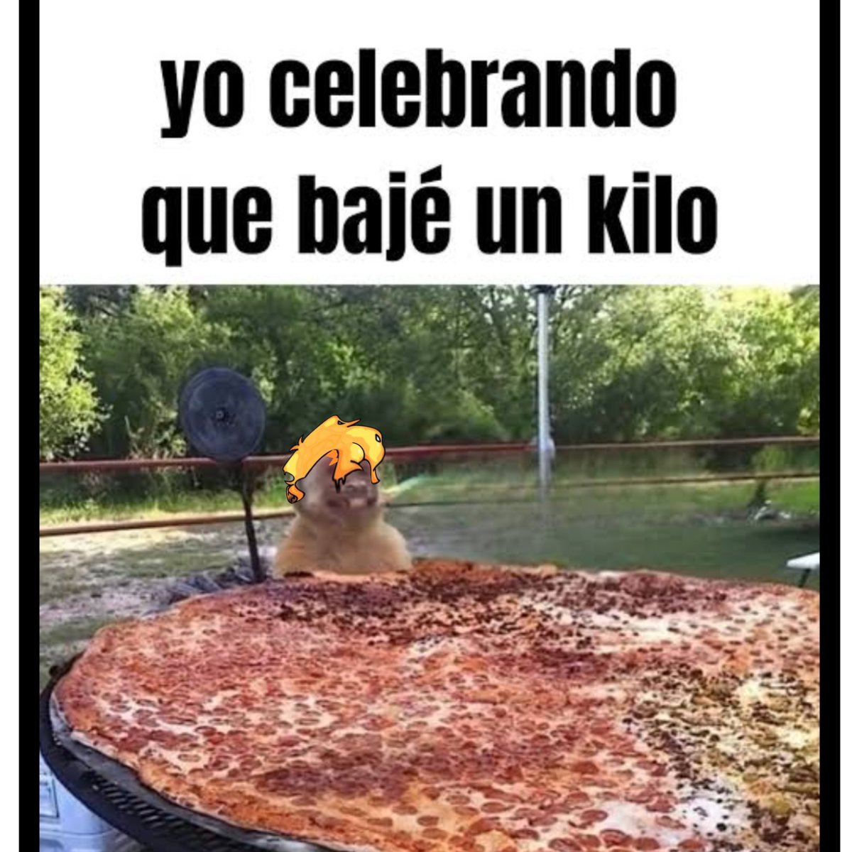 dianaangelmar's tweet photo. #humor https://t.co/nFUYje7ZkC