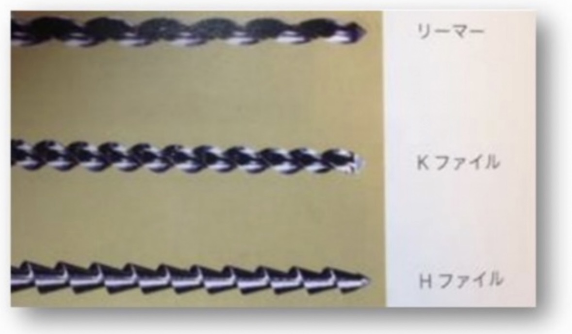歯科医師国家試験対策 ロムニーハウス勉強会【講師 Dr.N