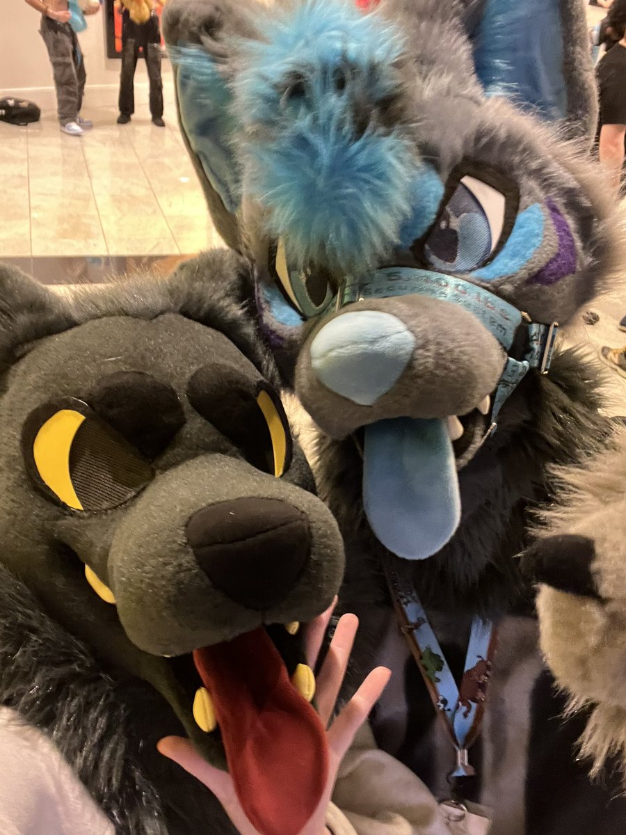Hypnohound's tweet photo. SUIT FAM SUIT FAM!!! @bvnnce @PulseWoofer 🖤🖤🖤 https://t.co/GF7St9Ak0C