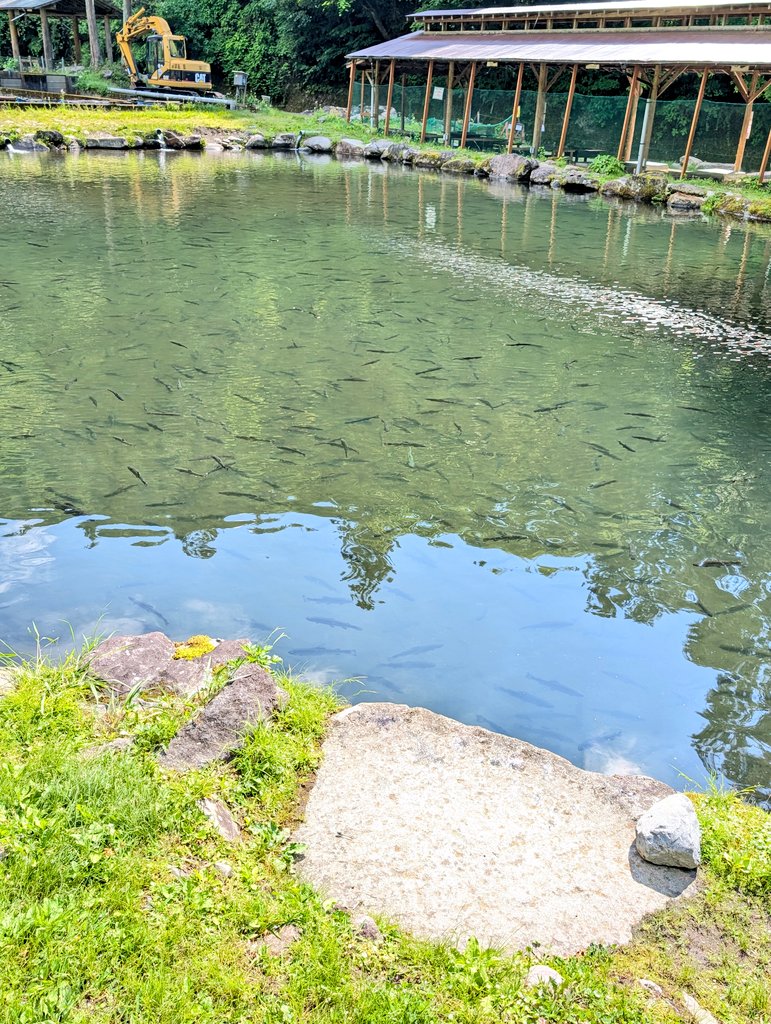naragofishing's tweet photo. 魚影 https://t.co/EEHbLu2eVk