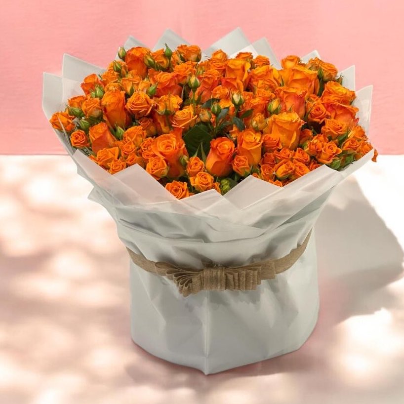 فطيم الشريف🧡. tweet media