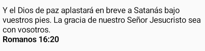 Ninett Rivas hija del Dios viviente. tweet media