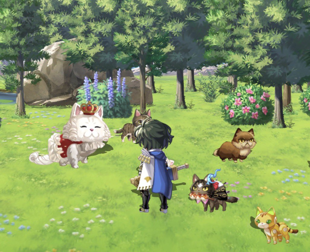 KUMA-KUMA（雄） tweet media