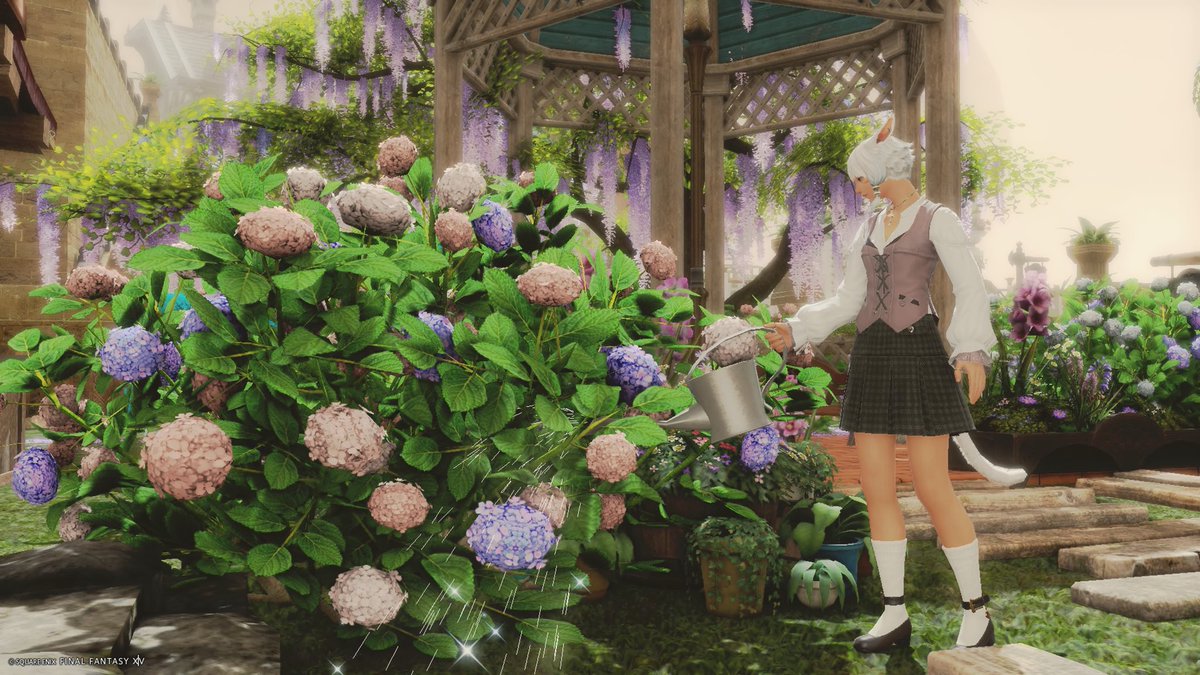 Neko_Matq's tweet photo. 今日は車を車検に出してきます🚗
待ってる間なにしようかなー
#FF14SS https://t.co/p5dAnga1iH