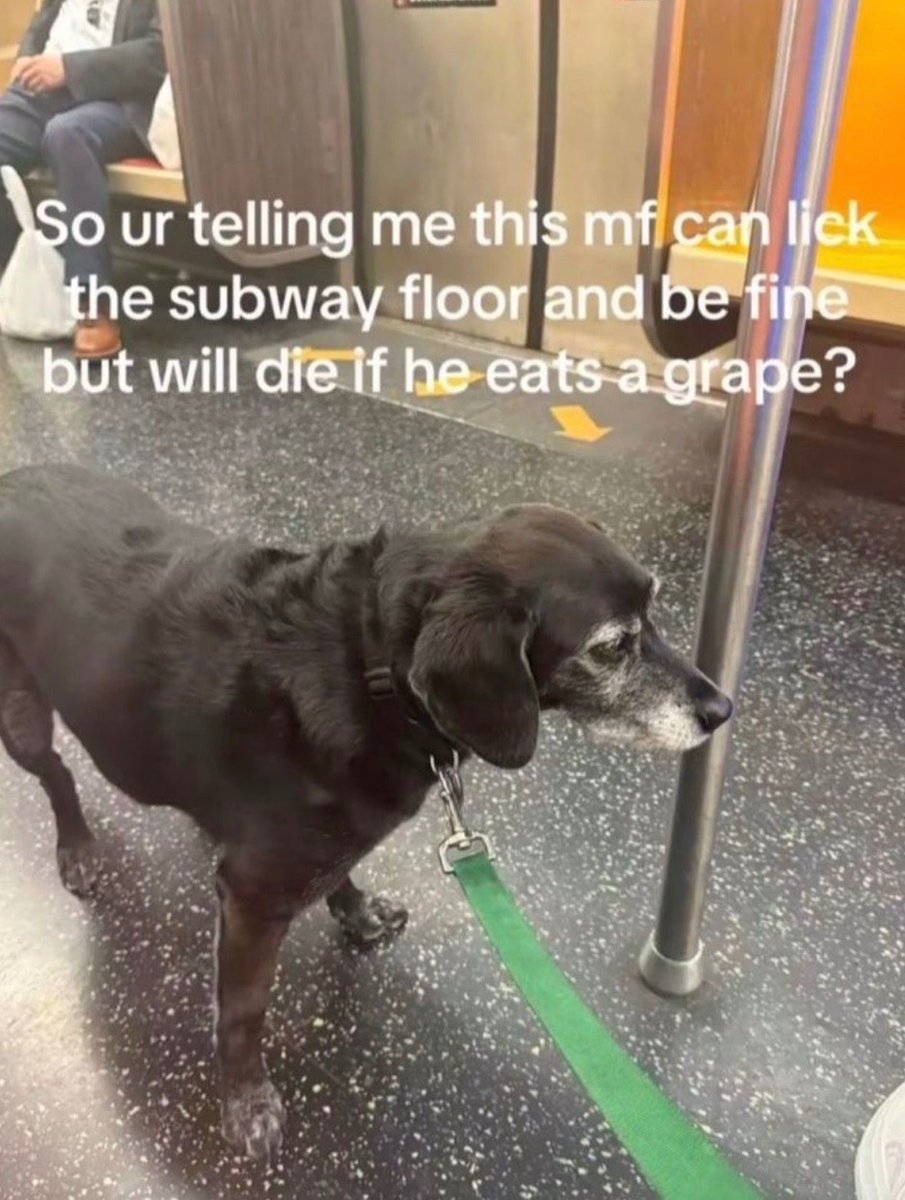 no context memes tweet media