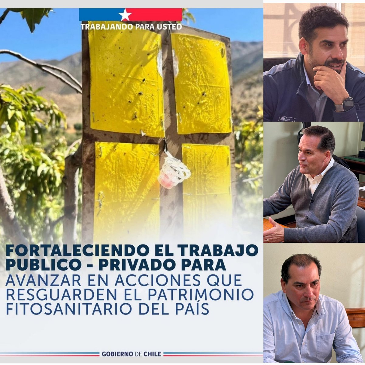 Francisco Corral Macías tweet media