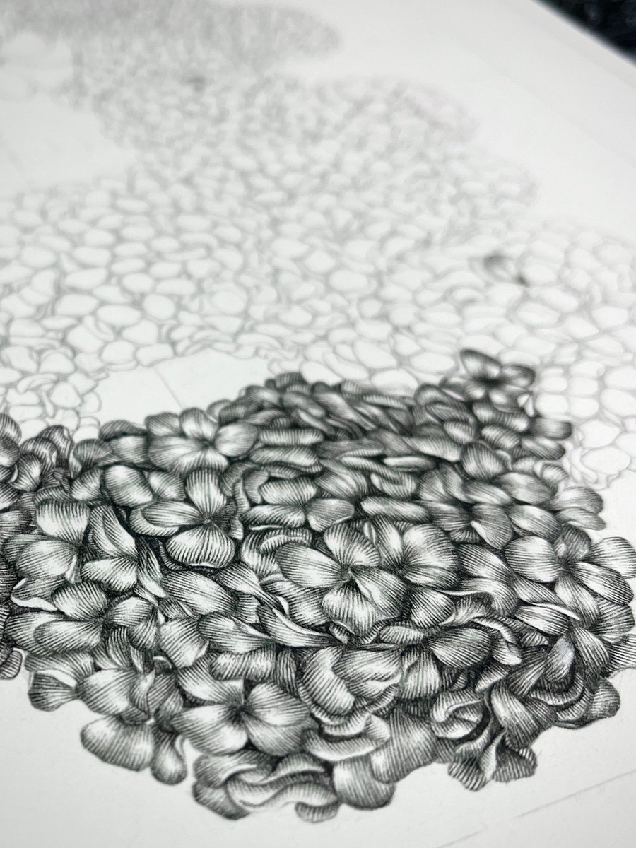 ペン画
