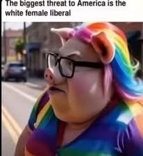 Ultra MagaBA🇺🇸 tweet media
