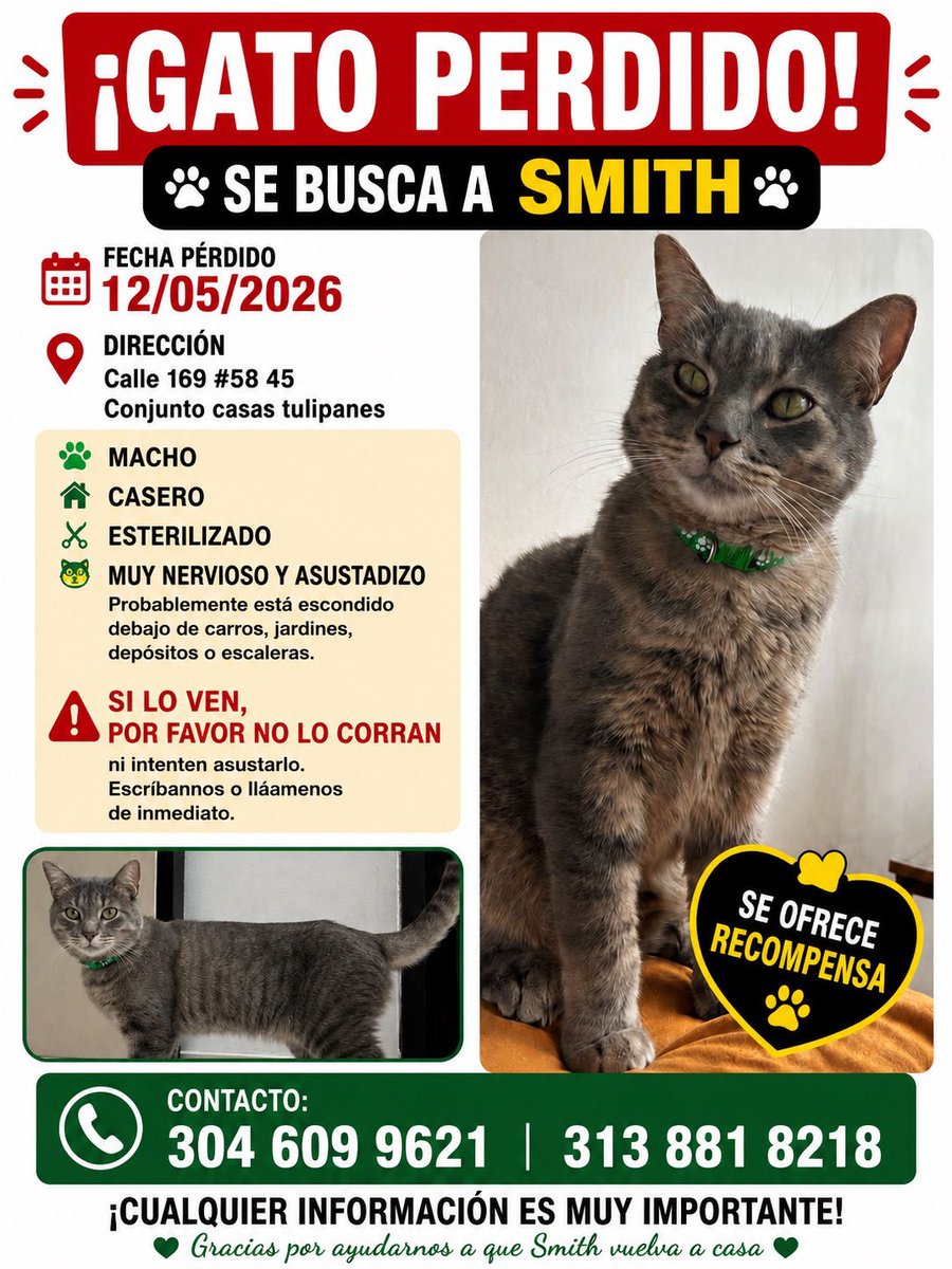 Pasa en Bogotá | Sr Bacca🐮 tweet media