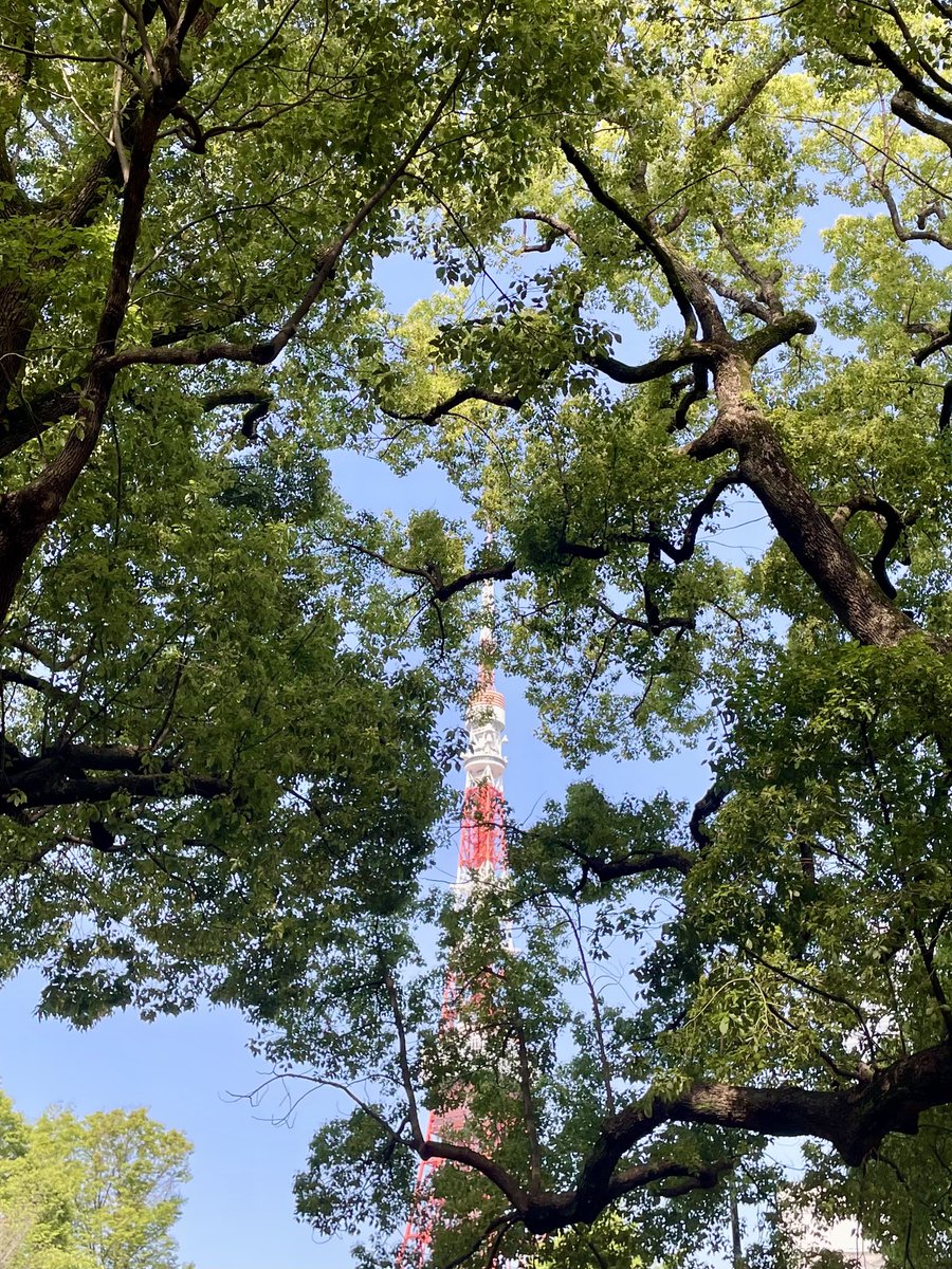 muran_study09's tweet photo. おはようございます☀️
#イタチャチャハウス 1本目途中から参加。
同時に耳勉を開始し、早朝の水遣りを🌿

電波塔の近くでラジオ体操をしてこれから職場に向かいます😊
充実した朝が迎えられているのも #イタチャチャハウス のおかげ✨
今週末のcrazy、よろしくお願いします😊🙏 https://t.co/53Ersya1NH