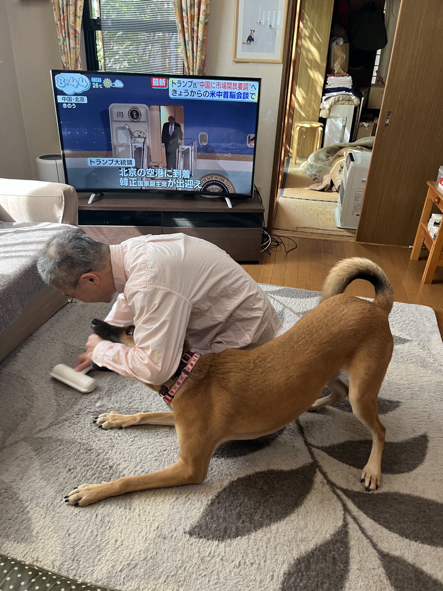 キューブの成長日記 tweet media