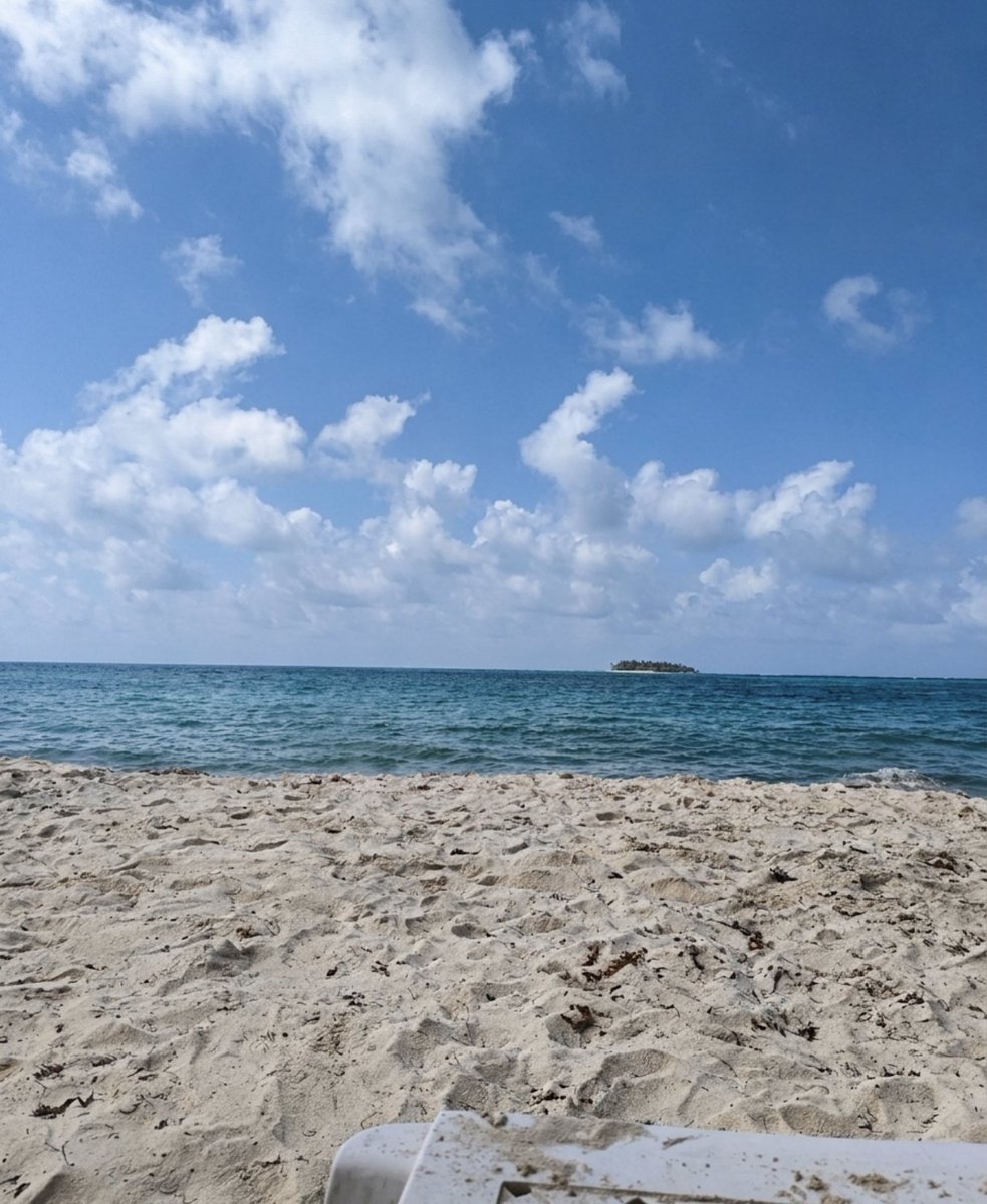 EdwinArcilaF's tweet photo. San Andrés 🏝️ tienes que ser la isla a la que Dios viene de vacaciones ❤️ https://t.co/2ulLiQf8Oj