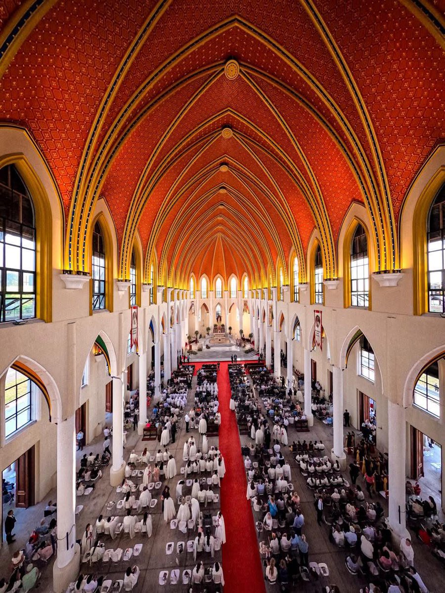 Alerta Noticias tweet media