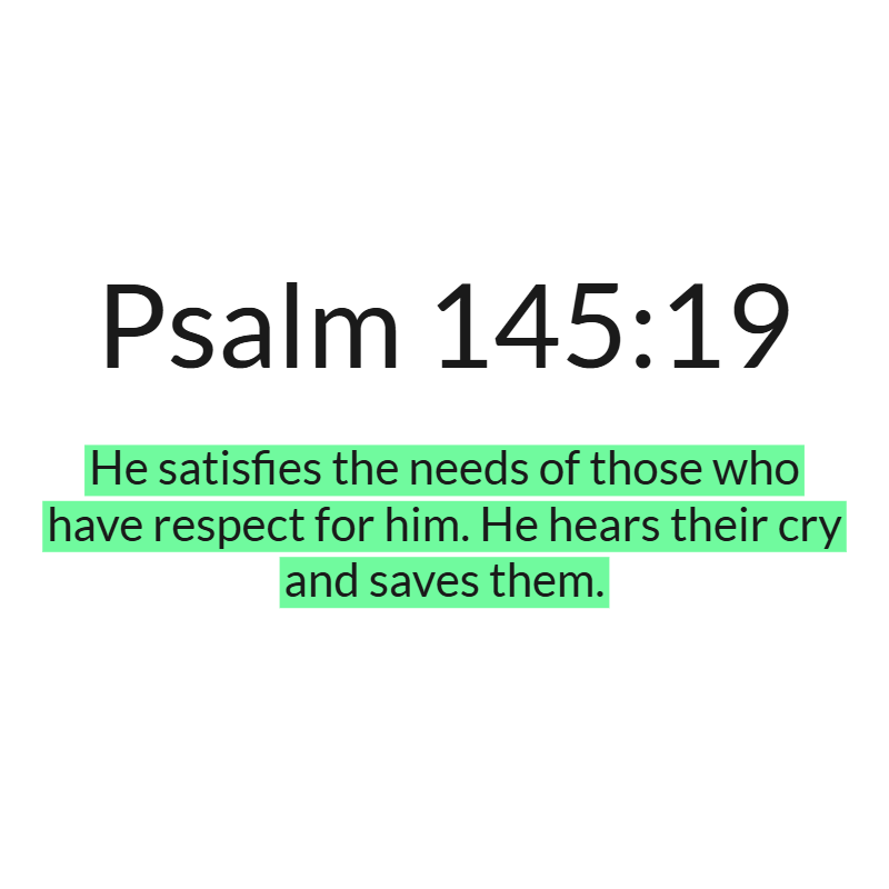 Jesus Insight tweet media