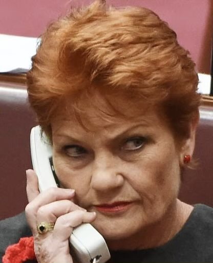 Australian News tweet media