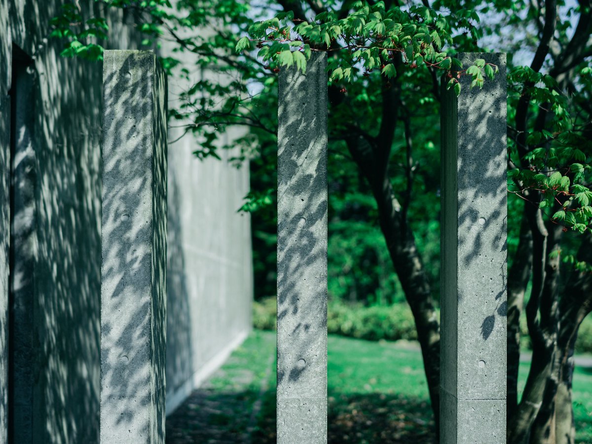 rishiri_visitor's tweet photo. 建物も自然と調和して美しいので、
屋内で芸術に触れた後は
ぜひ建物も一回りしてもらいたいです🏛️

Rishiri Art Visitor center
#利尻島 https://t.co/6KFTJLsLHe