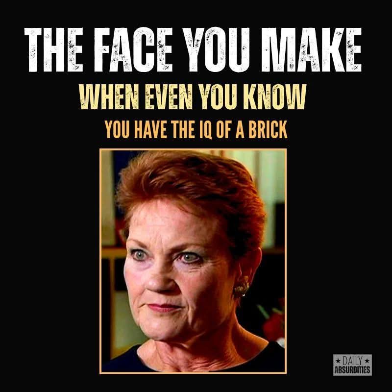 matt2876's tweet photo. @OzPollies https://t.co/fTjNdhMYrx